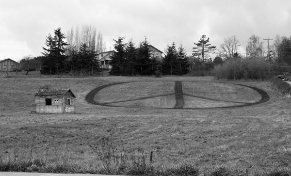 Peace in and out of the garden