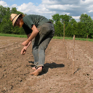 Planting Heirloom Vegetable Seed in Ontario