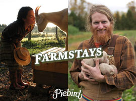 Ontario FarmStay Bed & Breakfast