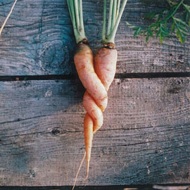 Weird Carrot Contest